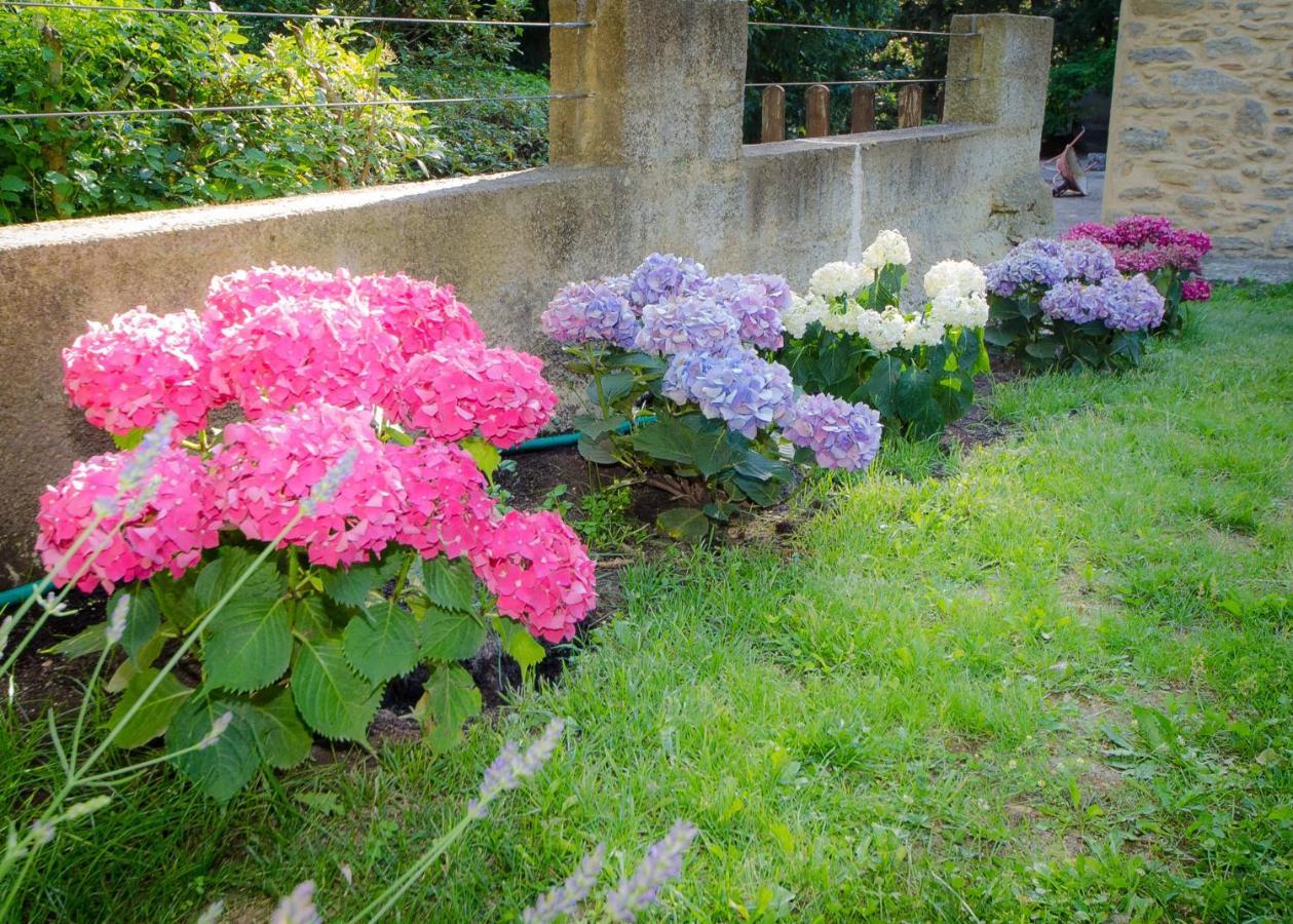 La Jourdane Bed and Breakfast Saint-Alexandre Δωμάτιο φωτογραφία
